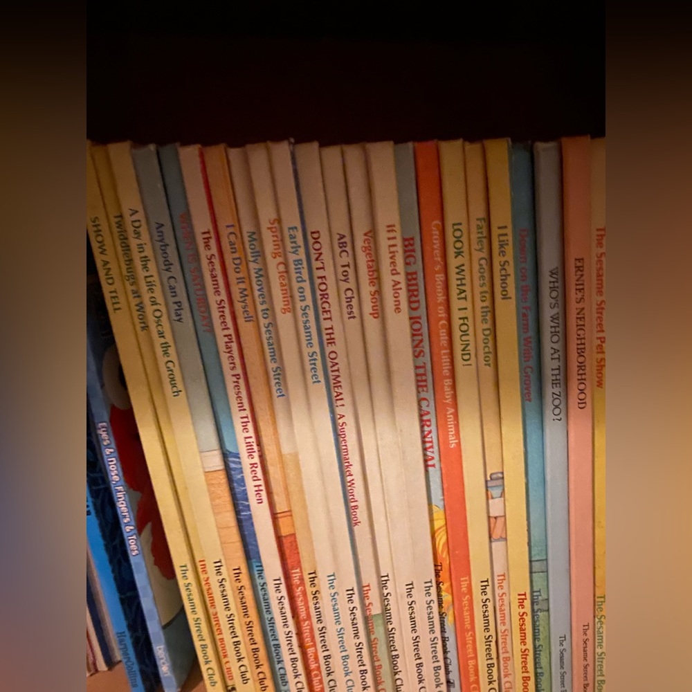 Set of 20 Sesame Street children's books